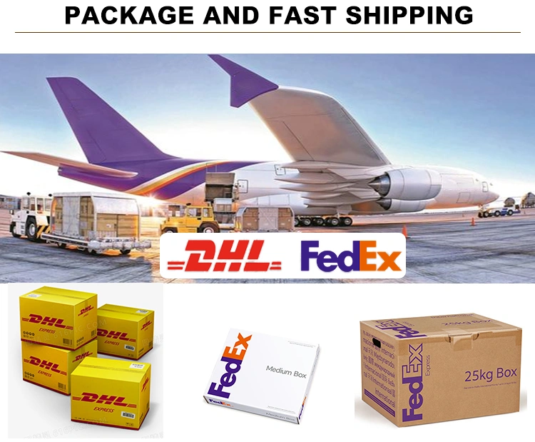 Clip in Hair Extensions Human Hair